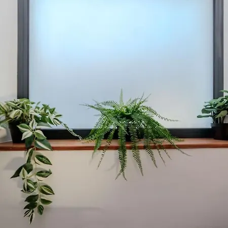 Et Volcans - Grand Proche Centre-ville Pour 24 Personnes Clermont-Ferrand