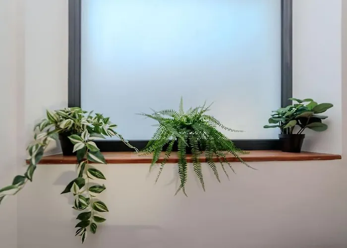 Et Volcans - Grand Proche Centre-ville Pour 24 Personnes Clermont-Ferrand